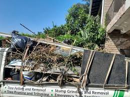 Best Shed Removal  in Bay City, MI